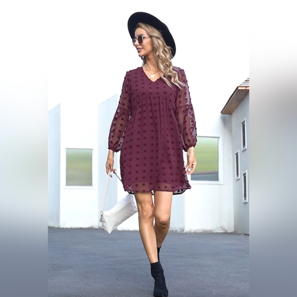 Supreme Fashion Swiss Dot V-Neck Bishop Sleeve A-Line Dress Size Large